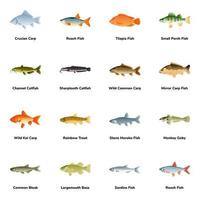 Flat Icons of Atlantic Fish Types vector