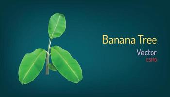realistic banana tree and branch elements. vector illustration eps10