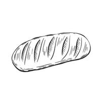 Fresh loaf doodle style vector isolated illustration