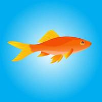 illustration exotic gold fish vector for child's lesson or addition to coloring books