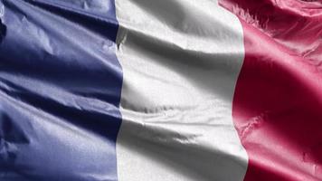 bandiera tessile francese che ondeggia lentamente sul ciclo del vento. bandiera francese che ondeggia dolcemente sulla brezza. tessuto in tessuto. sfondo di riempimento completo. Ciclo di 20 secondi. video