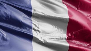 France flag waving on the wind loop. French banner swaying on the breeze. Full filling background. 10 seconds loop. video