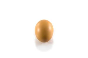 An egg standing and isolated on a white background photo