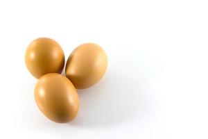 un huevo de pie y aislado en un fondo blanco foto