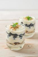 fresh blueberries and yogurt with granola photo