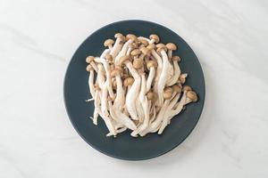 fresh brown beech mushroom or black reishi mushroom photo