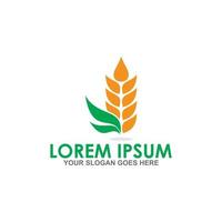 grain vector , agriculture logo vector