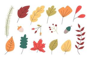 Set of autumn leaves, berries and acorns. Flat vector illustration
