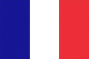 texturized French Flag of France photo