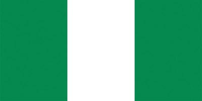 bandera nigeriana texturizada de nigeria foto