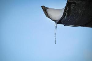 Small icicle hanging on draining roof pipe edge photo