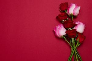 rosas sobre fondo rojo aislado. vista superior y maqueta. día de la madre y san valentín. vacaciones de mujeres. papel tapiz y concepto romántico. ramo de rosas de flores. regalo de cumpleaños de flores. foto