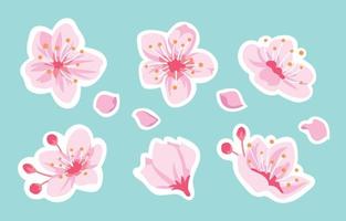 Cherry Blossom Flower Sticker Collection vector