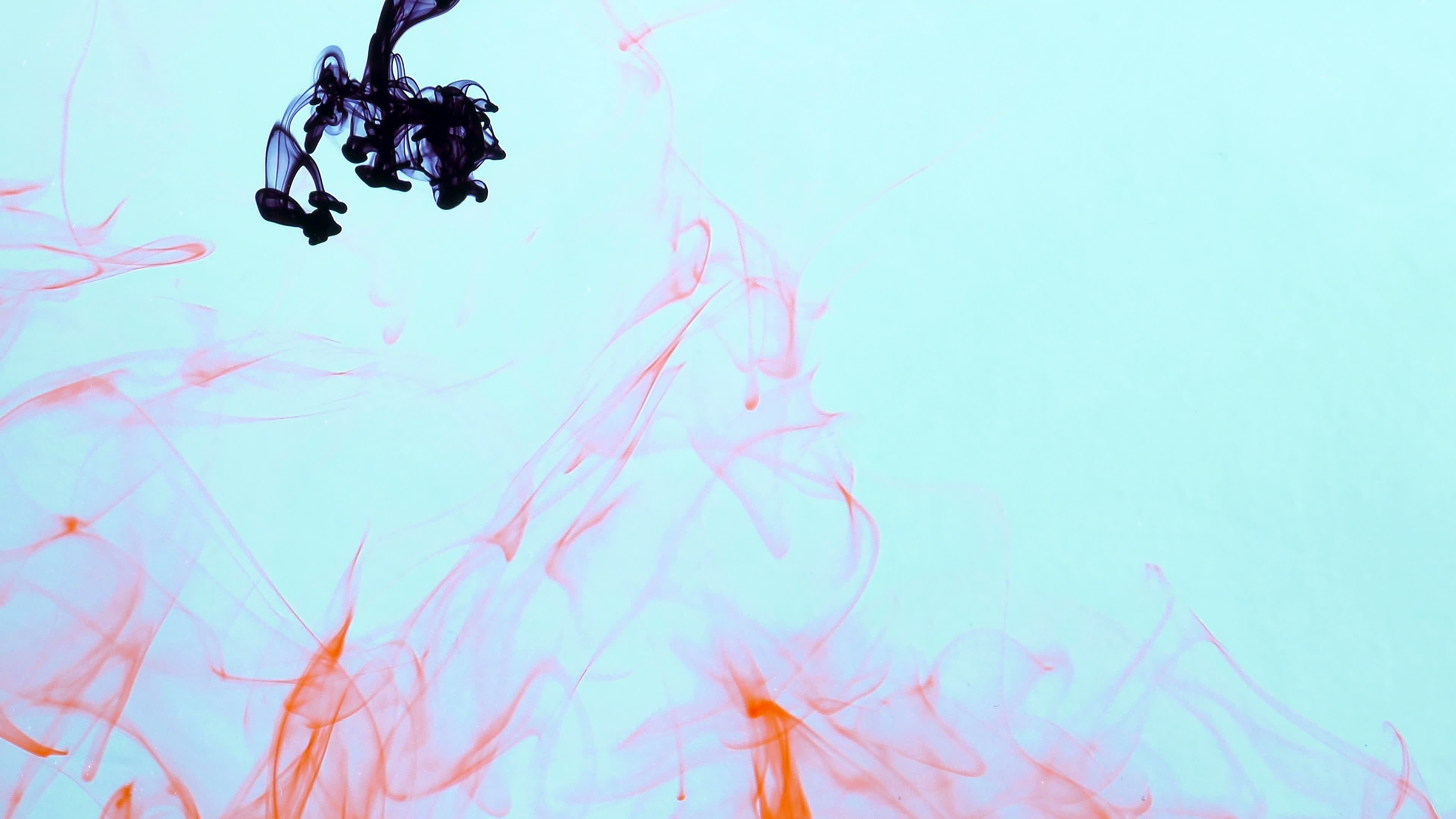 Ink Spread Flows Down in Aquarium Underwater 5373388 Stock Video at