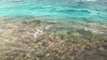 Agua de mar húmeda y salada en la hermosa costa en verano video