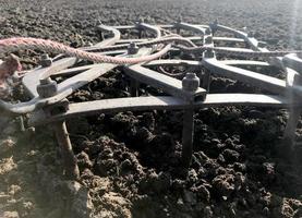 Campo arado de papa en suelo marrón en campo abierto naturaleza foto