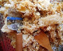 Wax honeycomb from a bee hive filled with golden honey photo