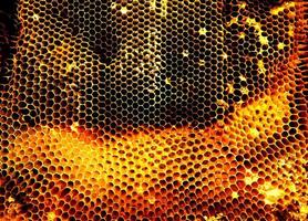 Background hexagon texture, wax honeycomb from a bee hive photo