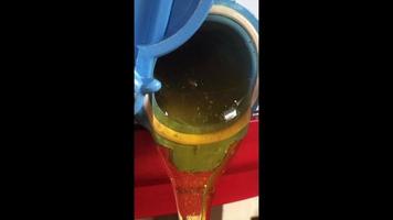 Drop of bee honey drip from hexagonal honeycombs video