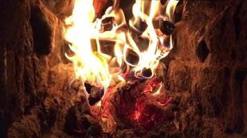schönes rotes Feuer aus Scheibenholz video