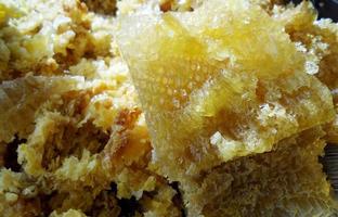 Wax honeycomb from a bee hive filled with golden honey photo