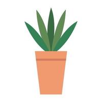 house pot plant on white background vector