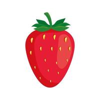 strawberry fruit icon, on white background vector