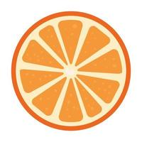 Rodaja de naranja cítricos sobre fondo blanco. vector