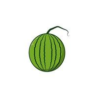 plantillas de diseño de vector de icono de fruta de sandía sobre fondo blanco