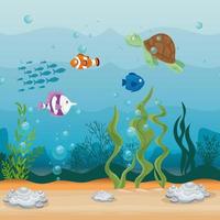 xxx and wild marine animals in ocean, sea world dwellers, cute underwater creatures, undersea fauna of tropic vector