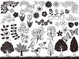 Spring And Summer Black And White Botanical Element Set Isolated On A White Background. vector