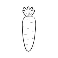 Simple hand drawn carrot isolated on white background. Doodle style. Vector illustration