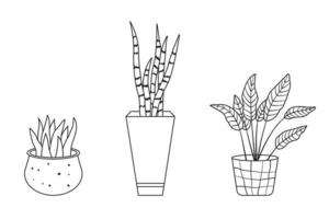 Set of house plants. Collection of potted plants in linear drawing style. Vector illustration isolated on white background