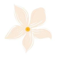 flower white color isolated icon vector