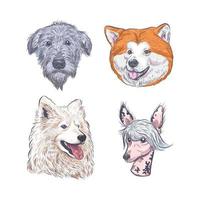 dibujo vectorial de la colección de cabezas de perro. vector
