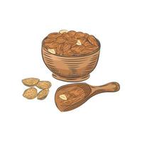 Almonds in bowl and scoop vector sketch.