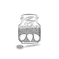 Chia pudding with berries in glass jar vector sketch.