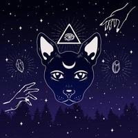 cara de gato mágico con luna en la frente en el cielo nocturno. ojo masónico en triángulo. vector