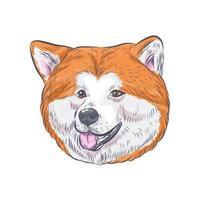 Hokkaido dog face vector illustration.