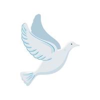 white dove flying on white background vector