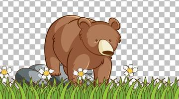 Bear standing on the grass field on transparent background vector