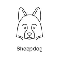 Shetland Sheepdog linear icon. Thin line illustration. Herding dog. Contour symbol. Vector isolated outline drawing