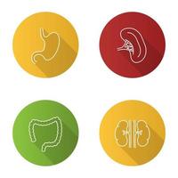 Internal organs flat linear long shadow icons set. Stomach, kidneys, large intestine, spleen. Vector outline illustration