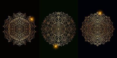 Collection of Mandala ornament or flower vector