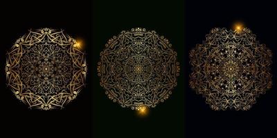 Collection of Mandala ornament or flower vector