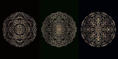 Collection of Mandala ornament or flower vector