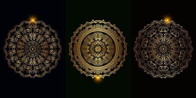 Collection of Mandala ornament or flower vector