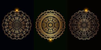 Collection of Mandala ornament or flower vector