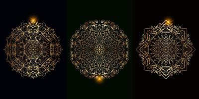 Collection of Mandala ornament or flower vector