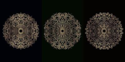 Collection of Mandala ornament or flower vector